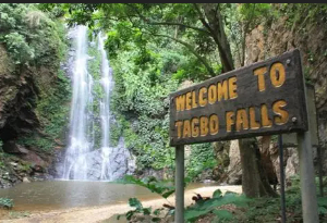 Nature’s Best-Kept Secret: Discover the Hidden Beauty of Tagbo Falls in Ghana’s Volta Region