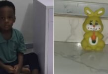 “At This Point, We Have Two Fathers in This House” — Mother Shares How Son Disciplines Toy Rabbit Like Dad